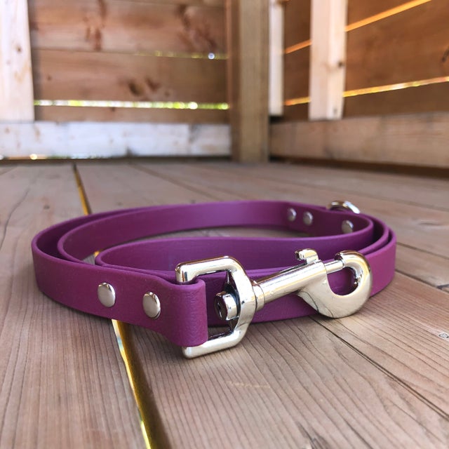 BioThane Dog Leashes Collection Canada GoodWalk Collars & Leashes